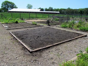 The "baseline" shot of the plot at start of the season. 