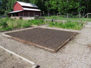 Another "baseline" shot of the plot at start of the season.