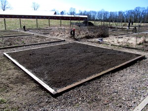 Plot 63, April 6, 2013