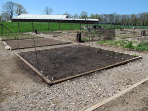Plot 63 on May 4, 2013