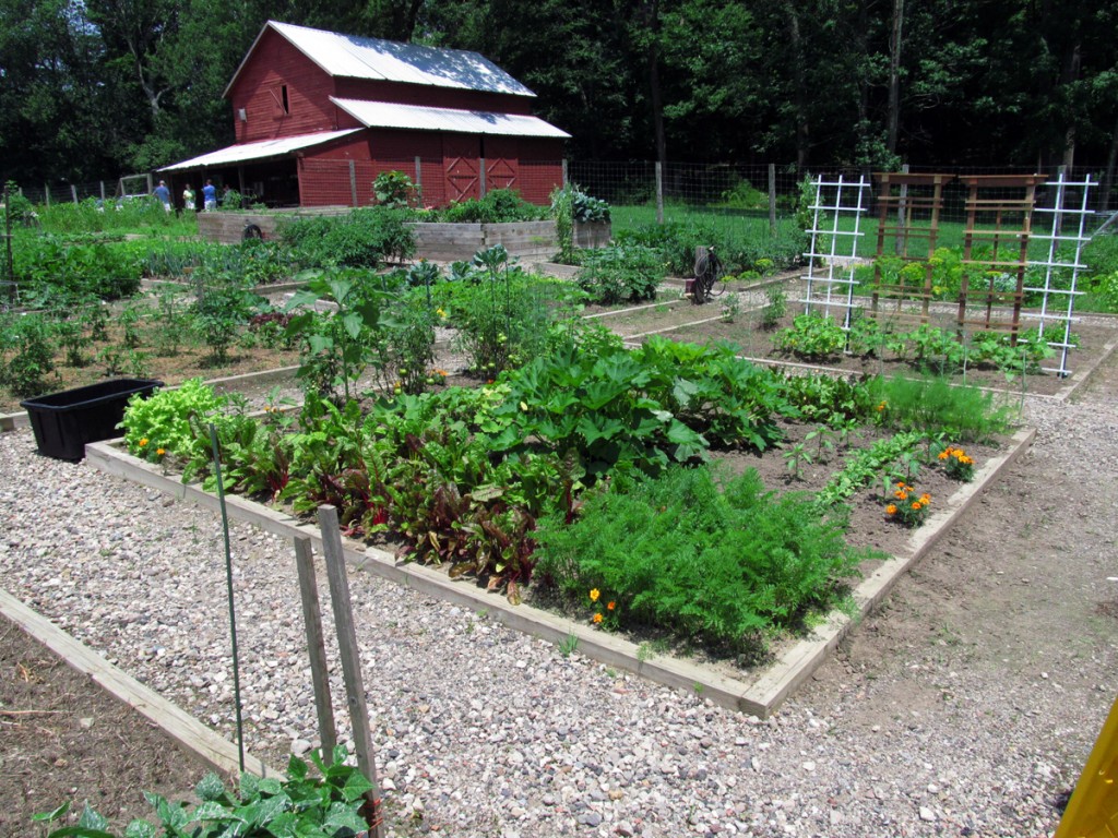 Plot #63 - July 8, 2013
