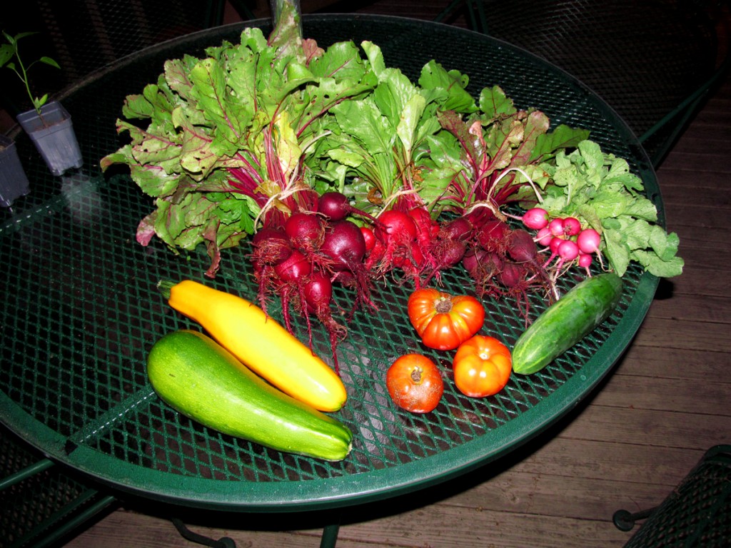 Garden Bounty July 10, 2013