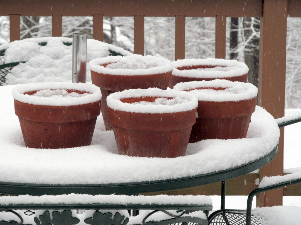  Growing season has become snowing season.