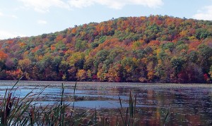 Autumn on Wolf Lake, Byram, NJ
