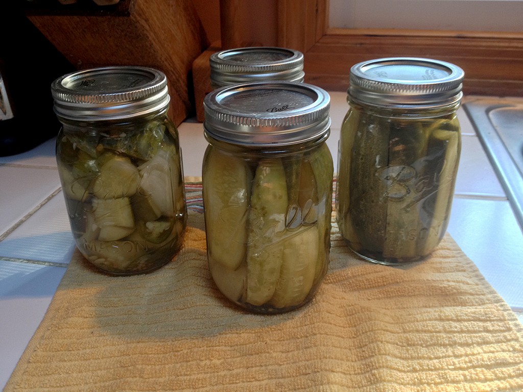 Three pints zesty dill spears and one pint zesty dill chunk pickles put up on July 19, 2015.