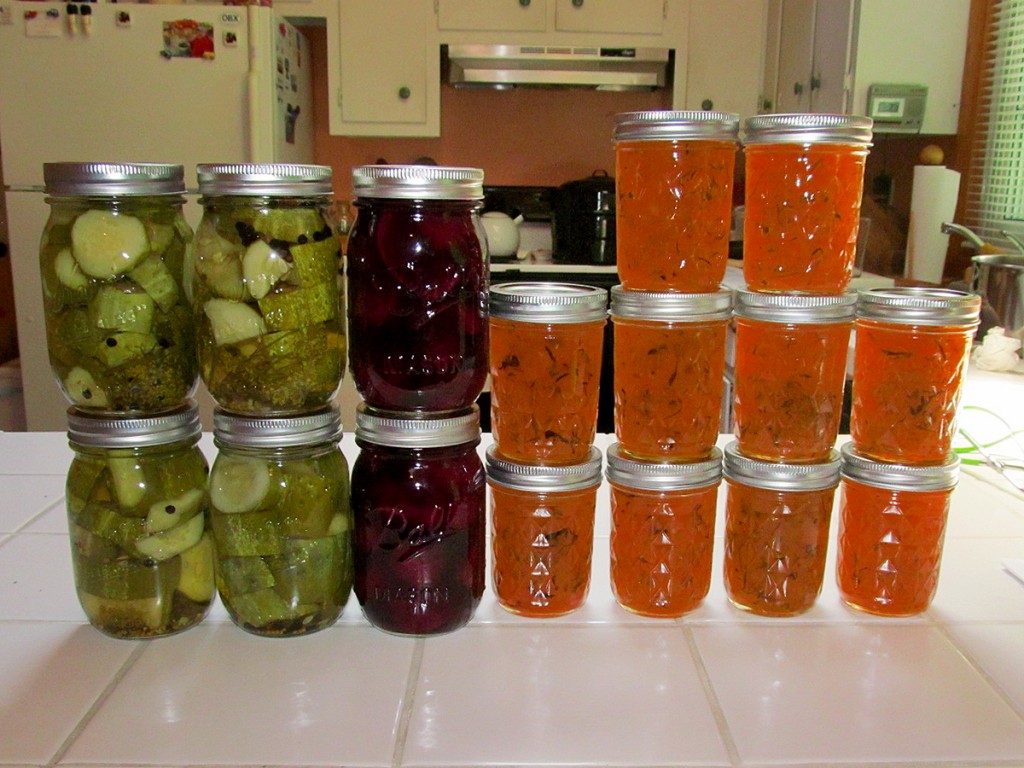 Let the preserving and canning begin! 4 pints dill pickles, 2 pints pickled beets, and 10 jars of zucchini-orange jam.