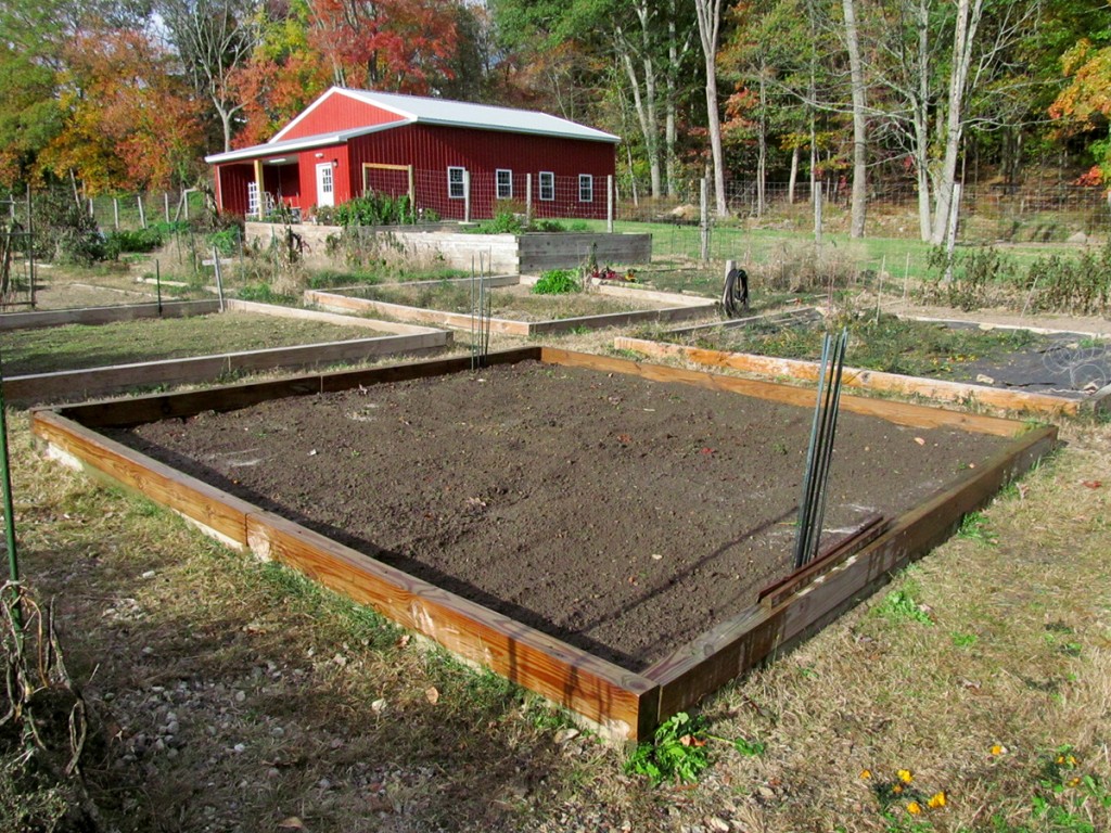 Plot #63, Roseville Community Garden, October 18, 2015.