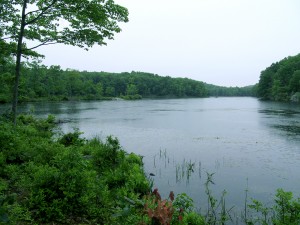 Johnson Lake, Byram, NJ.